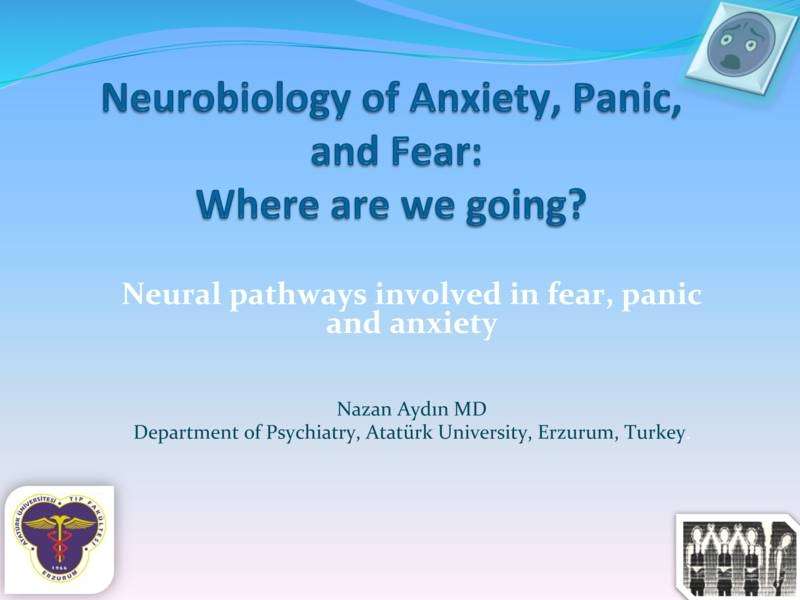 Anksiyete, Panik ve Korku  Nörobiyolojisi Nereye Gidiyoruz?