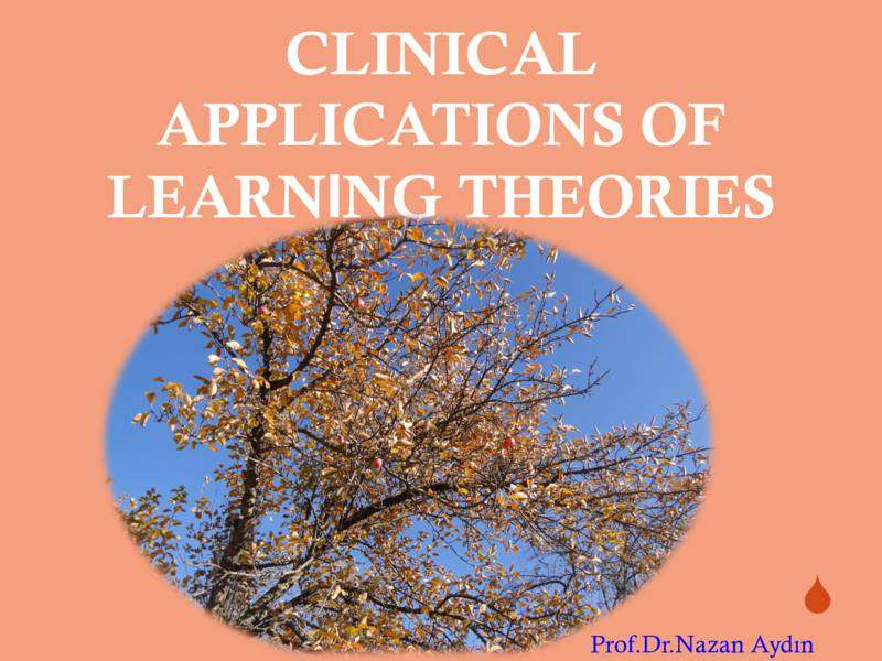 Clinical Application of Learning Theories