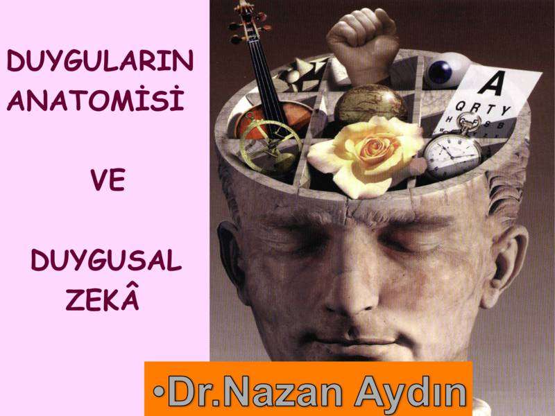 Duyguların Anatomisi