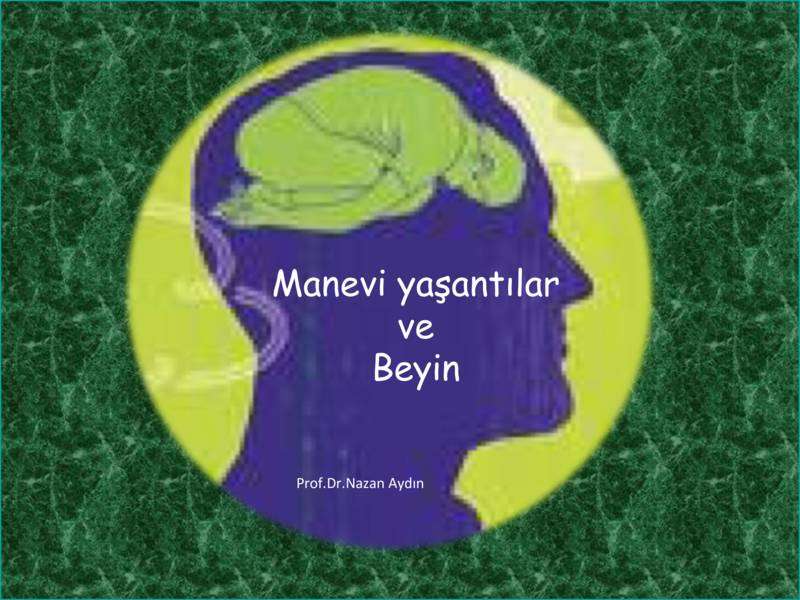 Maneviyat ve Beyindeki Yeri